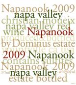 Dominus Estate - Napanook Estate Red Napa Valley 2019 (750ml)